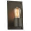 1 - Light Flush Mounted Sconce