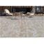 Hand-Knotted High-Quality Beige Area Rug