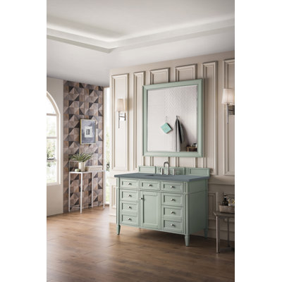 Dussault 48'' Single Bathroom Vanity with Top