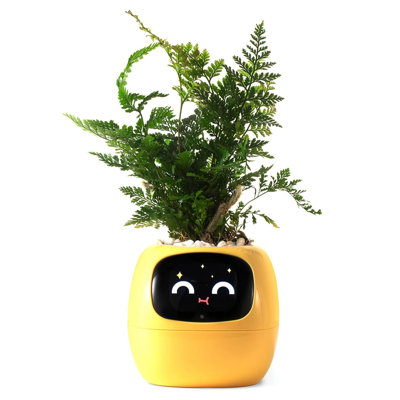 Smart Pet Planter APP AI Robot Garden Flower Pot Gift, Yellow | Plant Care Guidance with Emojis, Adorable Companion, Rich Gesture Interaction, Ideal Desktop Decor & Gift