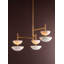 Evander Chandelier-227056965-227056966