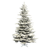 Sierra 10' Green Fir Artificial Christmas Tree