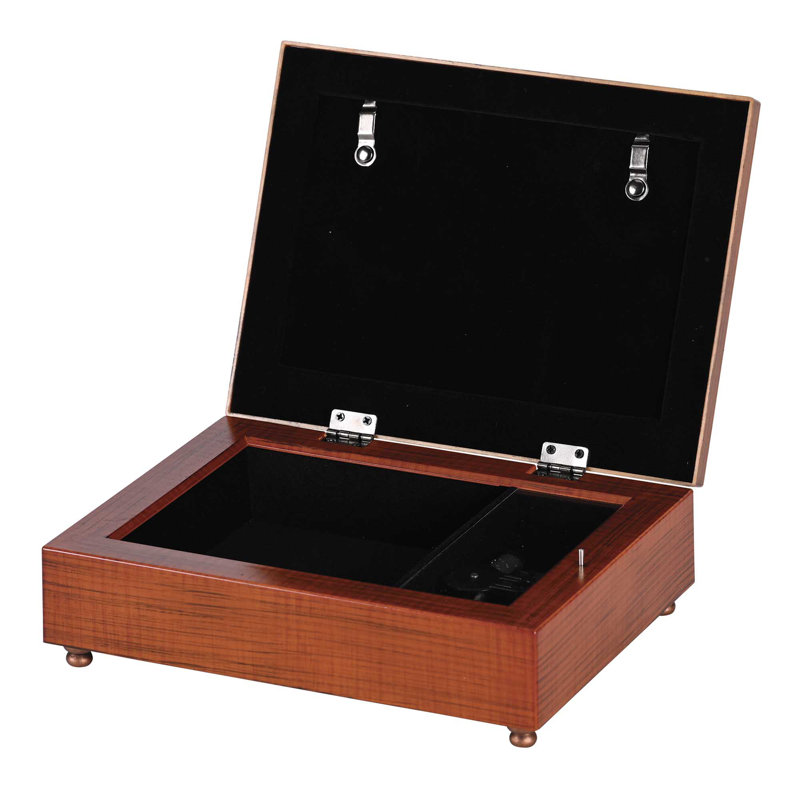 Juaniqua Plastic Memory Box