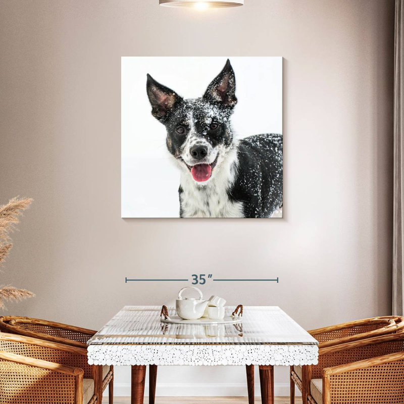 Brampt Snow Covered Border Collie, 24" H x 24" W