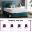 Hayder Divan Bed Base-1156754427-1123518466-1156754437