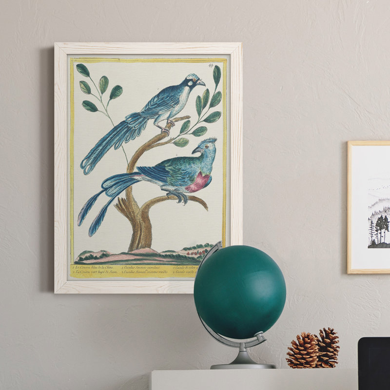 Toile encadrée Pastel Birds VI Premium - prête à être accrochée, H 44 po x l 31 po x P 1 po, Blanc