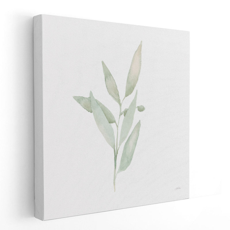 Sage II - Canvas Print Wall Art, 30" H x 30" W