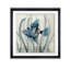 Pei poisson en ruppie maritime II - impression-1341252555-1254059665-1254055062