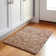 Machine Washable Indoor/Outdoor Xhevrie Copper Rug