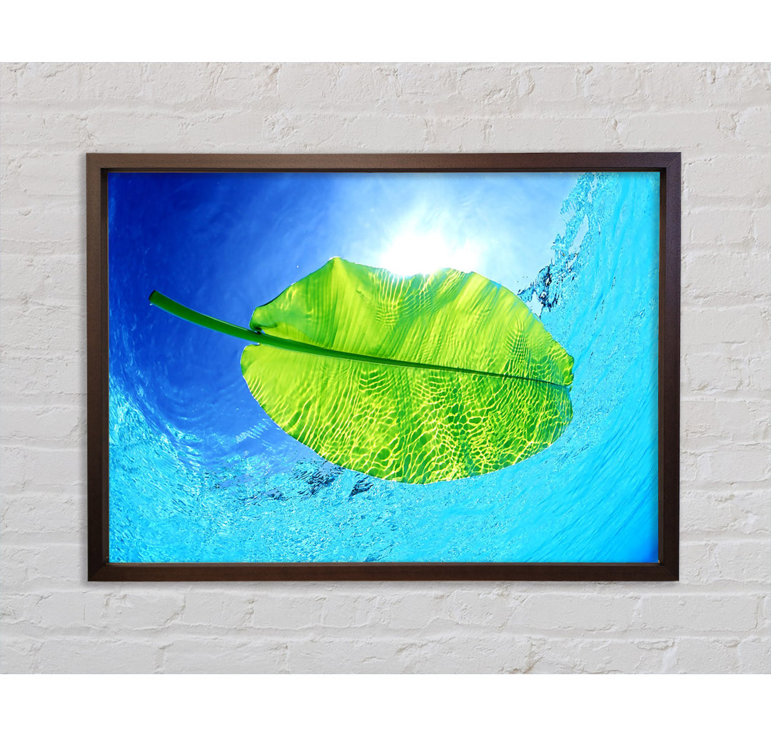 Blue Waters Of A Green Leaf Gerahmter Druck Wandkunst