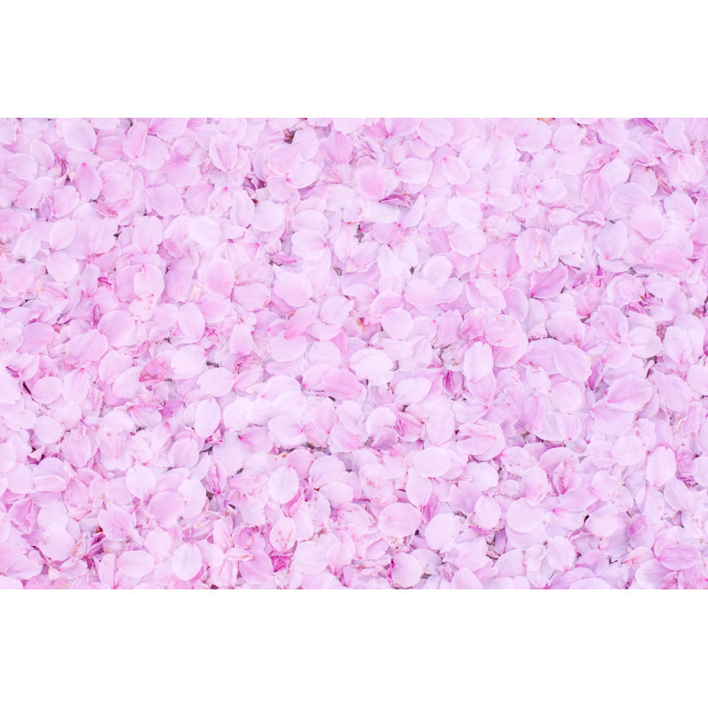 Cherry Blossom Petals by Dwph - Wrapped Canvas Print, 81cm H x 122cm W