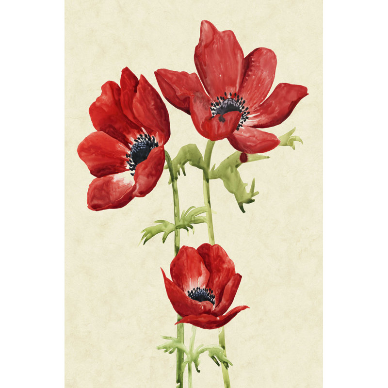 " Heirloom Anemones I " by Grace Popp Painting Print, 18" H x 12" W x 1.25" D