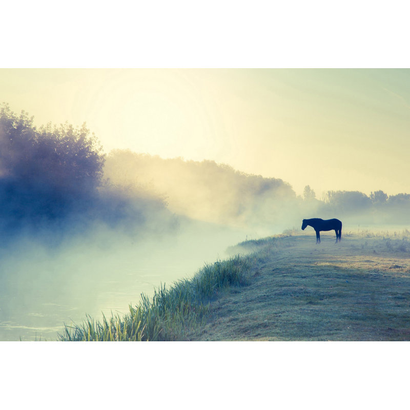 Wrapped Canvas Print, 101cm H x 152cm W x 3.81cm D