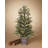 4' Pre-Lit Pine Half Christmas Tree