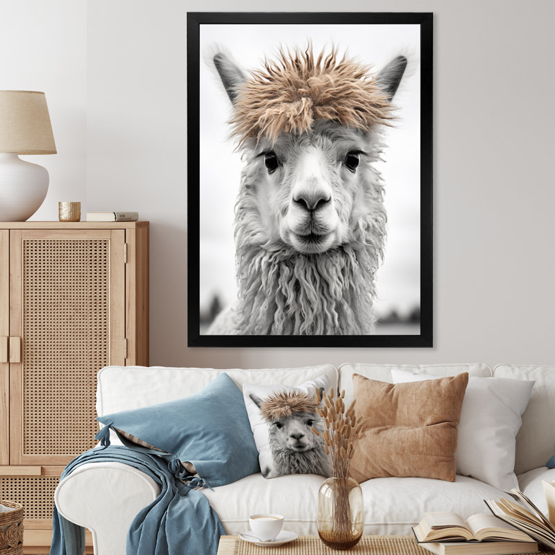 Curious Alpaca - Print, Black Single Picture Framed, 44" H x 34" W x 1.5" D