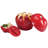 Food Storage Container