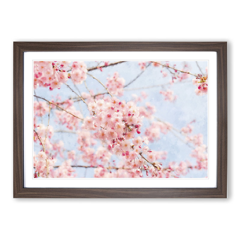 Pink Cherry Blossom Flowers Vol.9 - Picture Frame Graphic Art, 27cm H x 36cm W x 2cm D, Walnut Framed