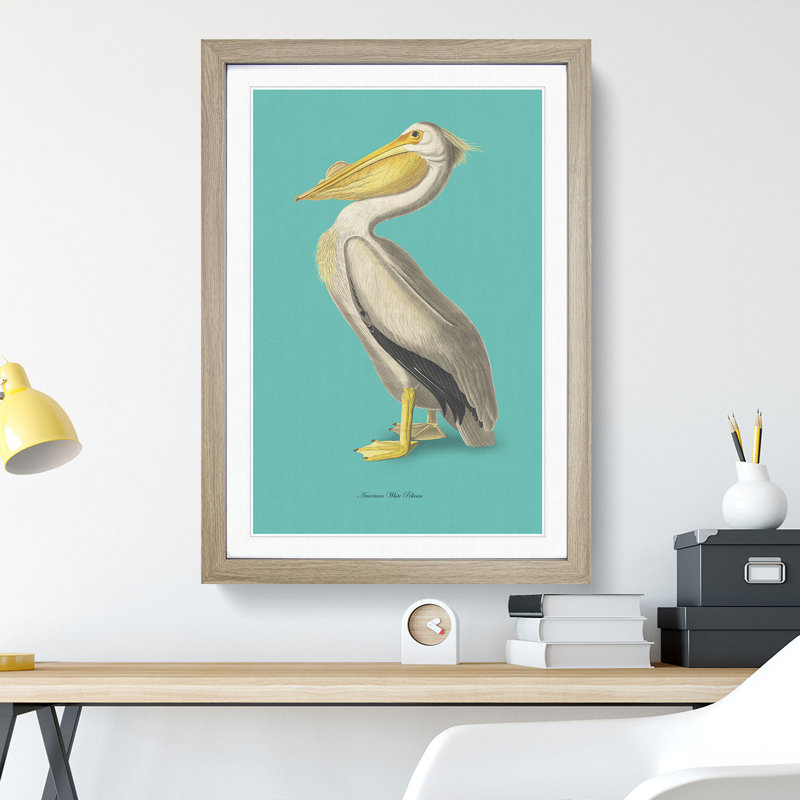 American Pelican in Teal by John Audubon - Picture Frame Painting, 90cm H x 65cm W x 2cm D, Oak