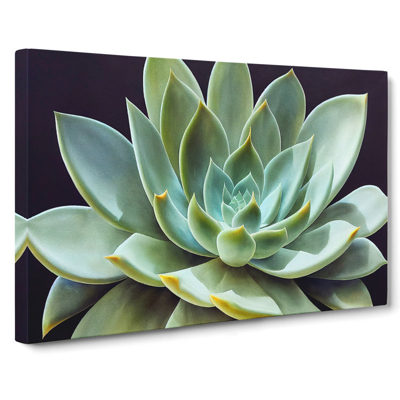 Watercolour Succulent Plant Vol.5 - Wrapped Canvas, 35cm H x 50cm W x 3cm D