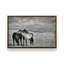 Ensemble de 2 impressions sur toile Free Spirits-424095652-424095672