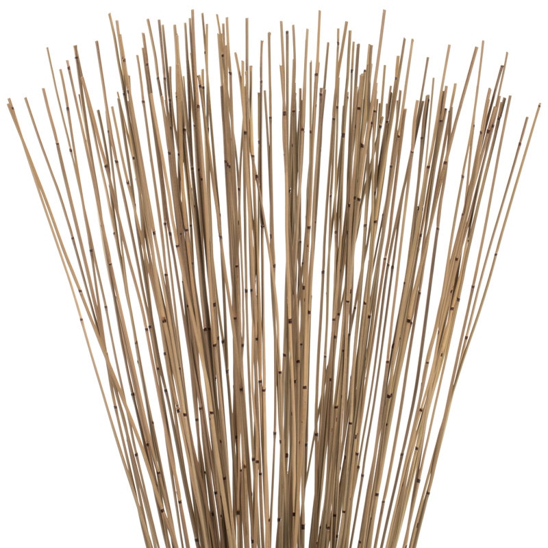 Faux Marsh Reed Plant Preserved