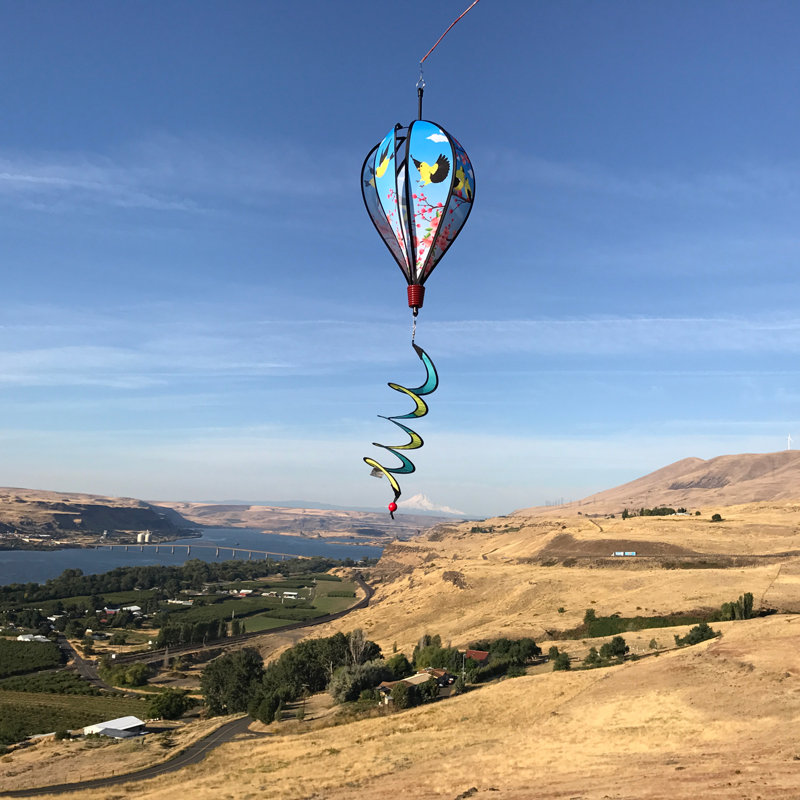Montgolfière famille chardonneret