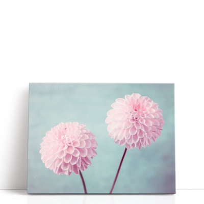 Deux fleurs de dahlia - reproduction d'art sur toile