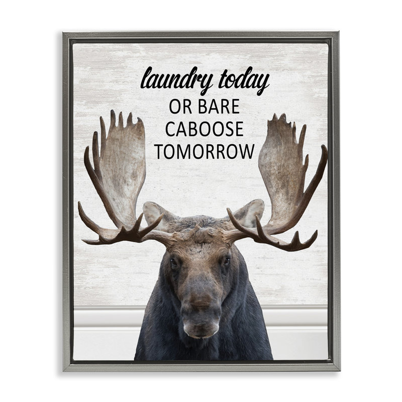 Cadre flottant Laundry Laundry, Cadre flottant gris lustré, H 21 po x l 17 po