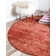 Franchester Indoor Rug