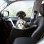 Siège de voiture en polyester Pet Booster-98410746