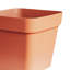 Pot Planter-1097821014