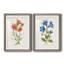 «Botanical I», ensemble de 2 reproductions d'art-271774487-271774477-271774455