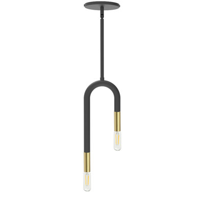 Luminaire suspendu incandescent 2 lumières Wand