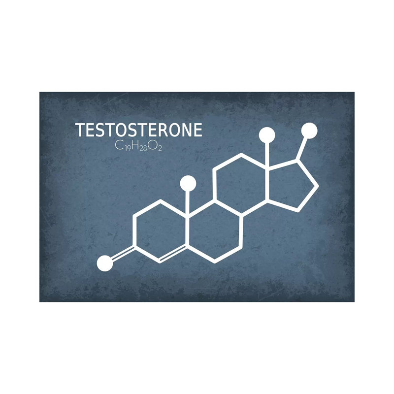 Testosterone Molecule 1 Piece Wrapped Canvas Wall Art, 101.6 cm H x 66.04 cm W x 1.91 cm D