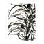 Contour de varech I, reproduction sur toile-2063693120