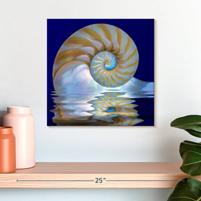 Aletra Nautilus Shell On Water