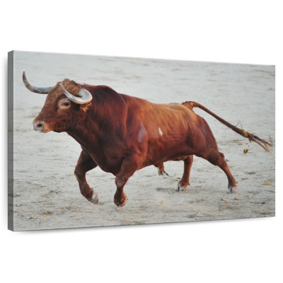Red Spanish Bull
