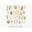 Pampas Grass Wall Decals, Set of 40 Peel and Stick Nursery Wall Stickers, Satin Finish Removable Kids Room Wall Art, 20"W x 20"H (50 x 50 cm)-264737508