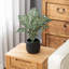Artificial Plant