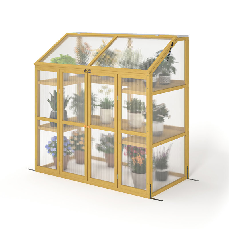 Serre en bois pour la culture d'herbes - Récoltez des herbes fraîches avec un système de cloisonnement pour organiser efficacement les plantes
