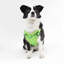 Harnais pour animal de compagnie Arlo-112400933-128618013