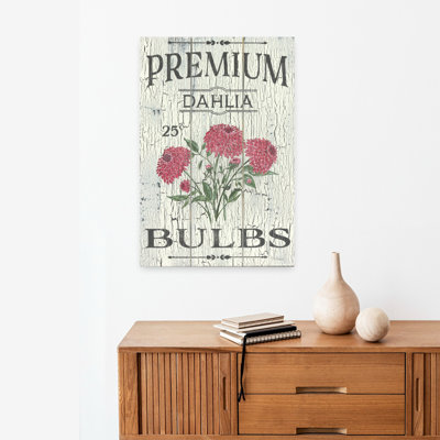 Dahlia Bulbs Traditional Dahlia Spring Flower Art