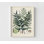 Collection de fougères VII, impression d'affiche de fougère, feuille Art botanique, très grand art mural de couloir, décor de hall d'entrée, affiche botanique