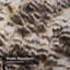 Rideau de douche Great Owl-377205172