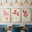 «Vintage Coral Study I», toile encadrée de qualité supérieure - prête à être accrochée-69982217-69982218