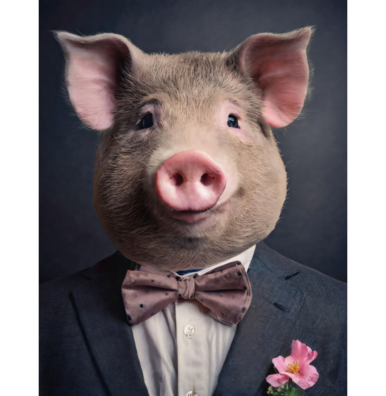 «Cochon» sur toile, H 32 po x l 26 po