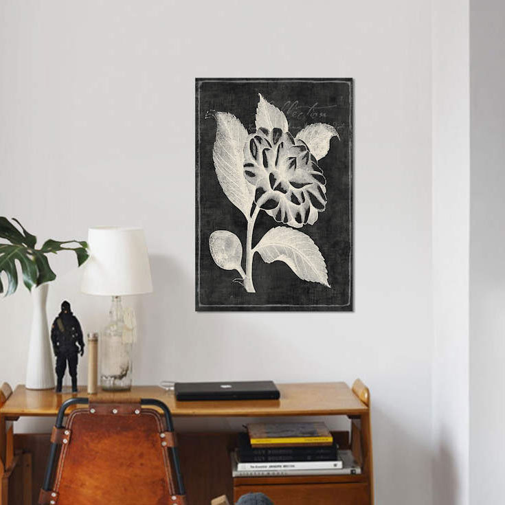 «Black Botanical II», impression sur toile, H 40 po x l 26 po x P 1,5 po, Pas de tapis, Toile tendue