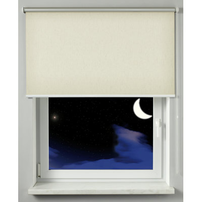 Blackout Roll-Up Shade