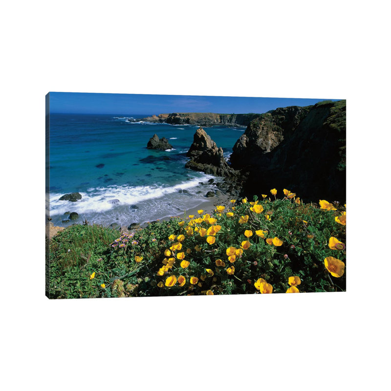 California Poppy Cluster Growing on Coastal Cliff, Jughandle State Reserve, Mendocino County, California 1 Piece Wrapped Canvas Wall Art