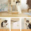 Tour à chat pour chat-954362445
